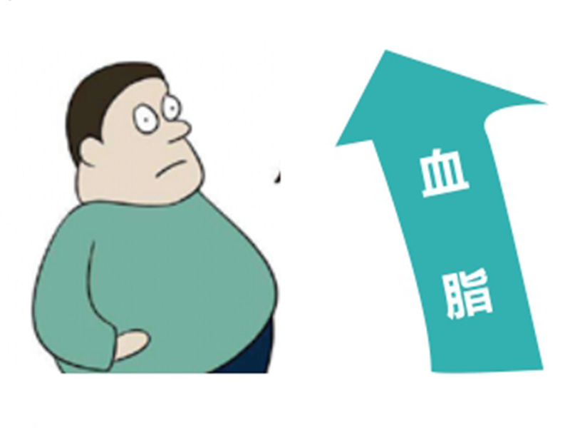 高血脂个体化用药基因检测