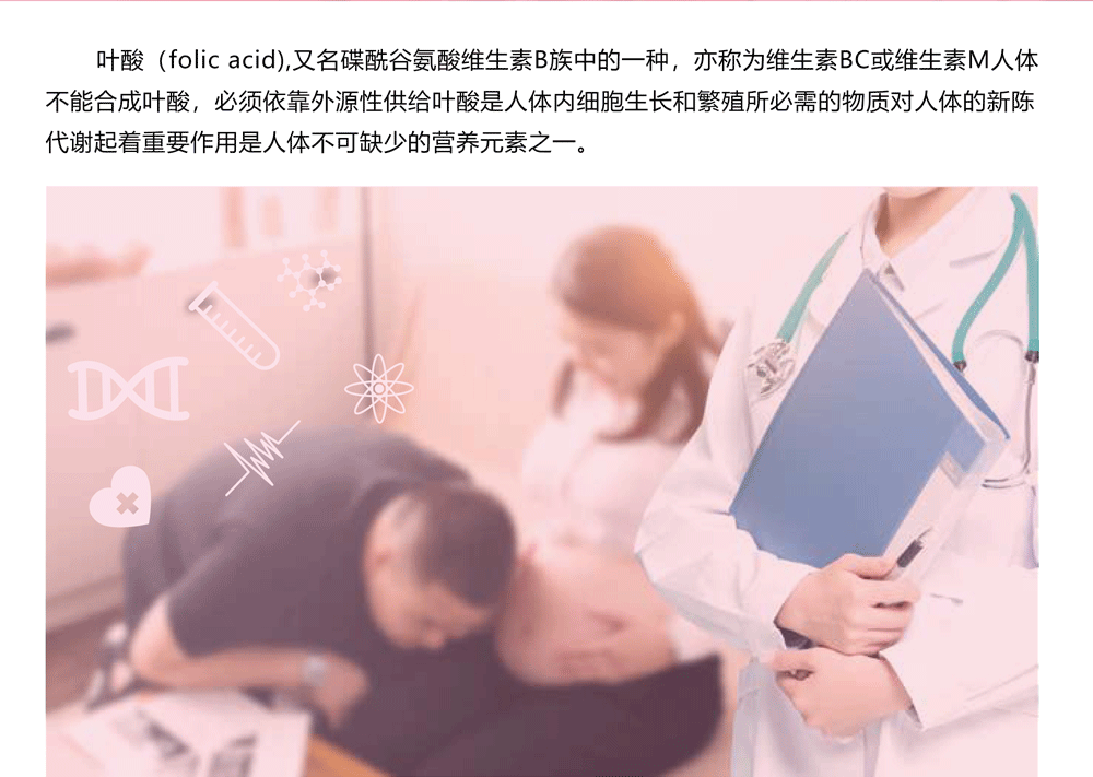 叶酸_01